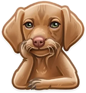 🐶 emoji Animals Telegram sticker 9 of 19