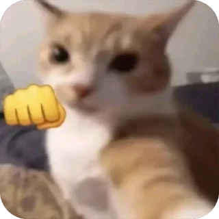 Sticker from Котопёсики