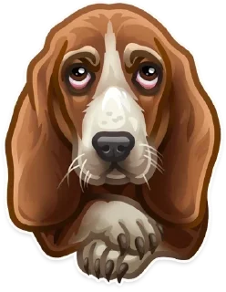 🐶 emoji Animals Telegram sticker 1 of 19