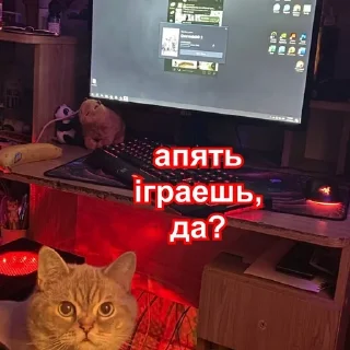 🥲 emoji catsanddogs Telegram sticker 19 of 56