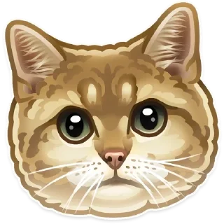 🐱 emoji Animals Telegram sticker 8 of 19
