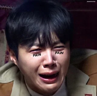 😭 emoji @jonafzan Kim Seon Ho 김선호 Kim Sun Ho Telegram sticker 16 of 120