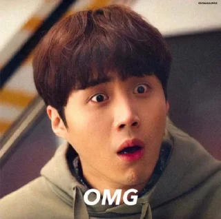 😳 emoji @jonafzan Kim Seon Ho 김선호 Kim Sun Ho Telegram sticker 13 of 120