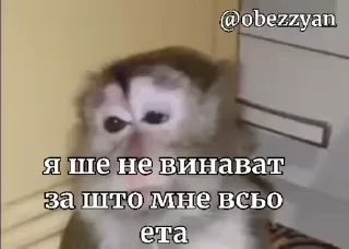 Sticker from Ярик бибизяна 4 ➡️ @Ctikerubot