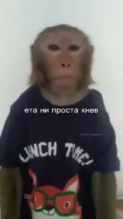 😱 emoji Ярик бибизяна 4 ➡️ @Ctikerubot Telegram sticker 7 of 50