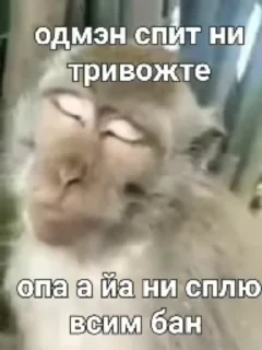 Sticker from Ярик бибизяна 4 ➡️ @Ctikerubot