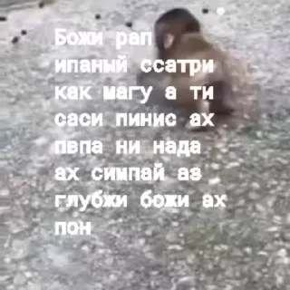 Sticker from Ярик бибизяна 4 ➡️ @Ctikerubot