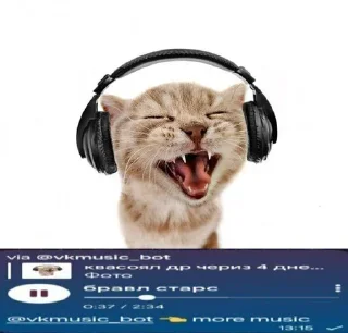 Sticker from пак от шызи