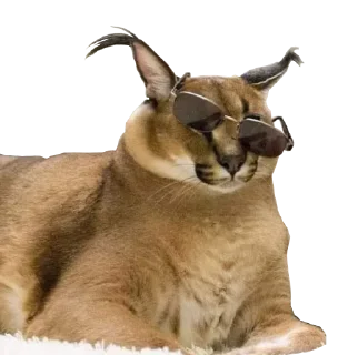 😎 emoji пак от шызи Telegram sticker 16 of 120