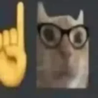 🤓 emoji котики няшки Telegram sticker 23 of 65