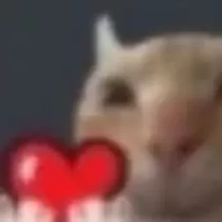 ♥️ emoji котики няшки Telegram sticker 21 of 65