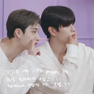 Sticker from chan& minnie |@skzstickersss