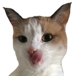 😋 emoji S A R A Telegram sticker 12 of 14