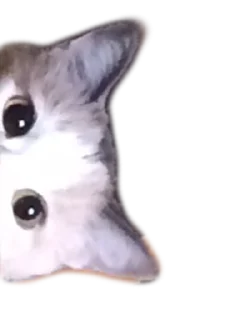 Sticker from S A R A