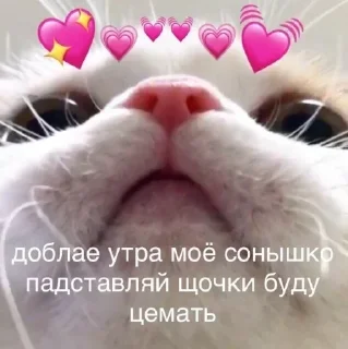 🍄 emoji УТРА/заказать @yleystickers. Telegram sticker 17 of 85