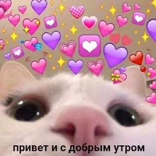 🥰 emoji УТРА/заказать @yleystickers. Telegram sticker 15 of 85