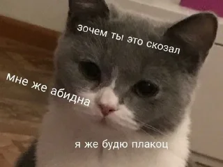 😢 emoji кицики з любов'ю Telegram sticker 9 of 50