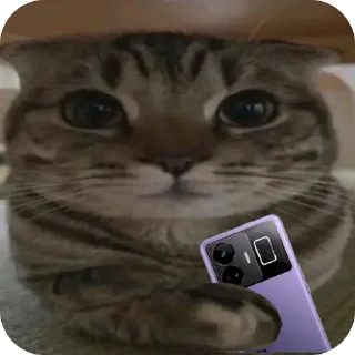 Sticker from Это кто вообще?  (@xd_sergii)