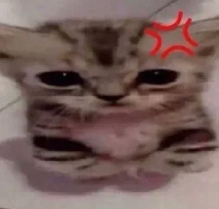 😡 emoji Чоо ➡️ @Ctikerubot Telegram sticker 4 of 75