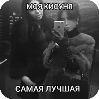 🖼 emoji выйди в окно [ @HW72M9 ] Telegram sticker 11 of 15