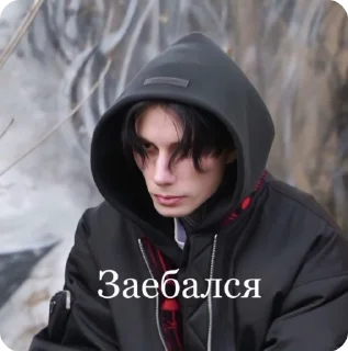 😃 emoji ДМ @matveevdimaxx @dbabaykaa Telegram sticker 23 of 30