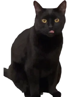 😝 emoji Чёрный Telegram sticker 16 of 16
