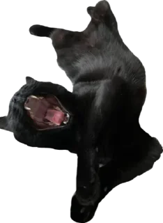 🥱 emoji Чёрный Telegram sticker 14 of 16