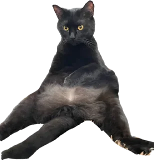 😐 emoji Чёрный Telegram sticker 13 of 16