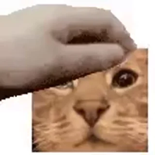 🥺 emoji Лучшие стикеры: @animstikers1 Telegram sticker 11 of 35