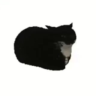 💬 emoji Лучшие стикеры: @animstikers1 Telegram sticker 12 of 35