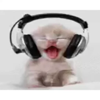 😺 emoji Лучшие стикеры: @animstikers1 Telegram sticker 17 of 35
