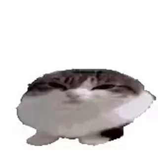 😺 emoji Лучшие стикеры: @animstikers1 Telegram sticker 5 of 35