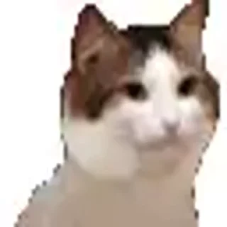 😺 emoji Лучшие стикеры: @animstikers1 Telegram sticker 15 of 35