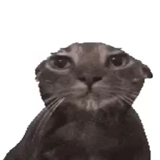 😿 emoji Лучшие стикеры: @animstikers1 Telegram sticker 13 of 35