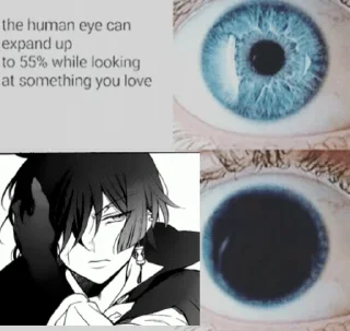 👁 emoji ✧Vanitas no Carte✧ Telegram sticker 9 of 53