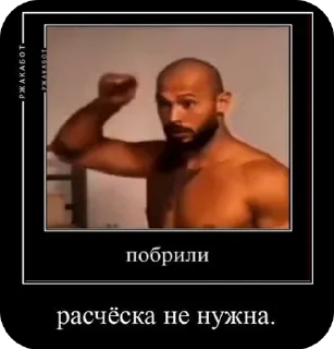 🪮 emoji @crypto_bibizyana АЛЬФА🟡 Telegram sticker 19 of 114