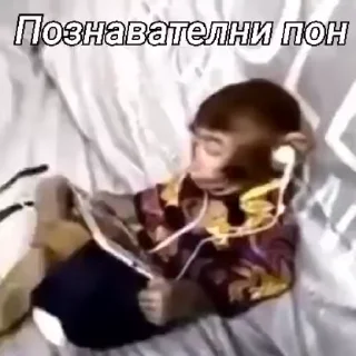 Sticker from Русло манки