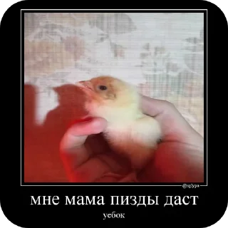 🤲 emoji Банка тушёнки 5 пакич @KilkaEdits Telegram sticker 24 of 107