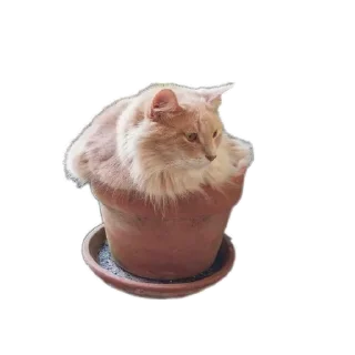 Sticker from Кит_кат @minxoxen
