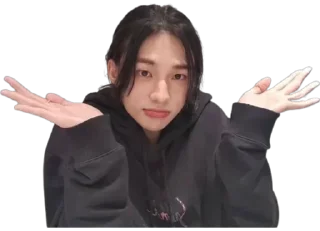 🤷‍♀️ emoji Skz_luv Telegram sticker 18 of 110