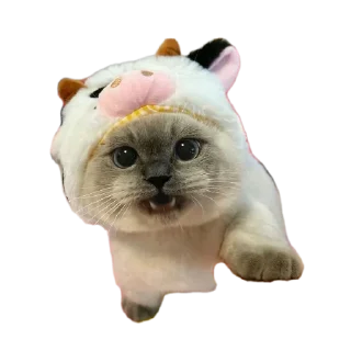 Sticker from Хз рандом стикеры