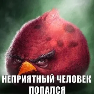 Sticker from Энгри Бёрдс Птички