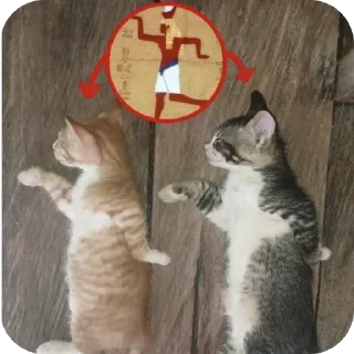 Sticker from FUNNY MEMES 2 LEGENDARY SEQUEL