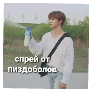 Sticker from Stray kids