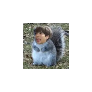 Sticker from Stray kids