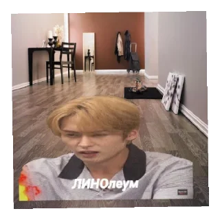 Sticker from Stray kids