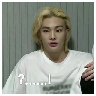 Sticker from Stray kids