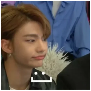 Sticker from Stray kids