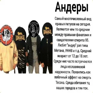❤️ emoji ЖИДОСЛАВЯНЕ ПИДОРАСЫ Telegram sticker 15 of 70