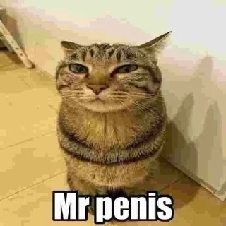 Sticker from Mr.Penis
